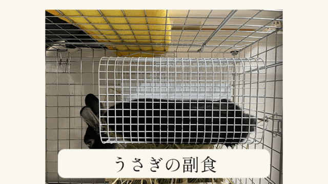 うさぎ ウサギ 副食 ペレット くだもの 果物 やさい 野菜 あんこのお家