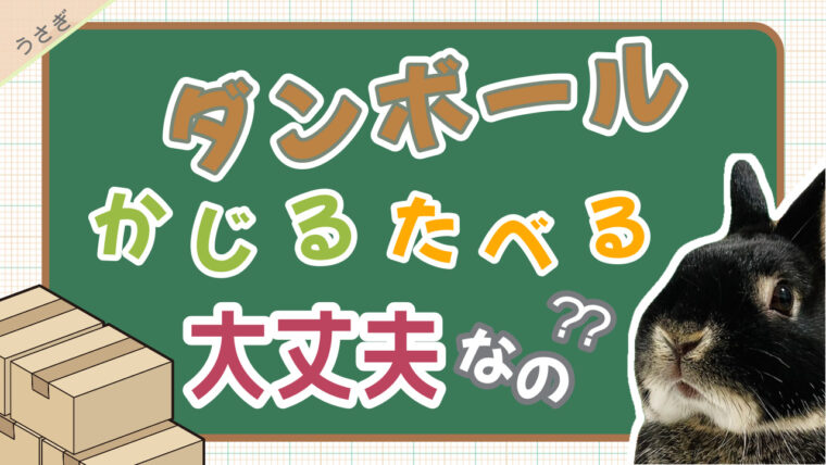 うさぎがダンボールハウスをかじる 大丈夫 食べる場合は要注意 あんこのお家