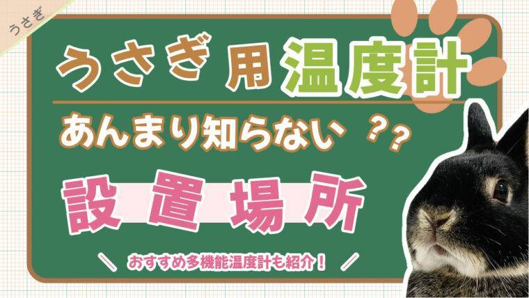 うさぎ用の温度計の設置場所 おすすめの多機能温度計も紹介 あんこのお家