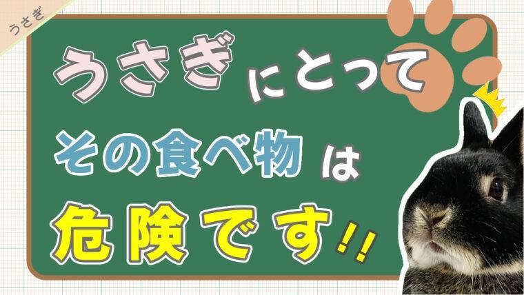 うさぎに与えてはダメな食べ物 野菜 果物 その他まとめ 飼育時の注意点 あんこのお家