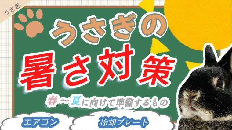 うさぎの暑さ対策 春 夏に向けて準備するもの あんこのお家